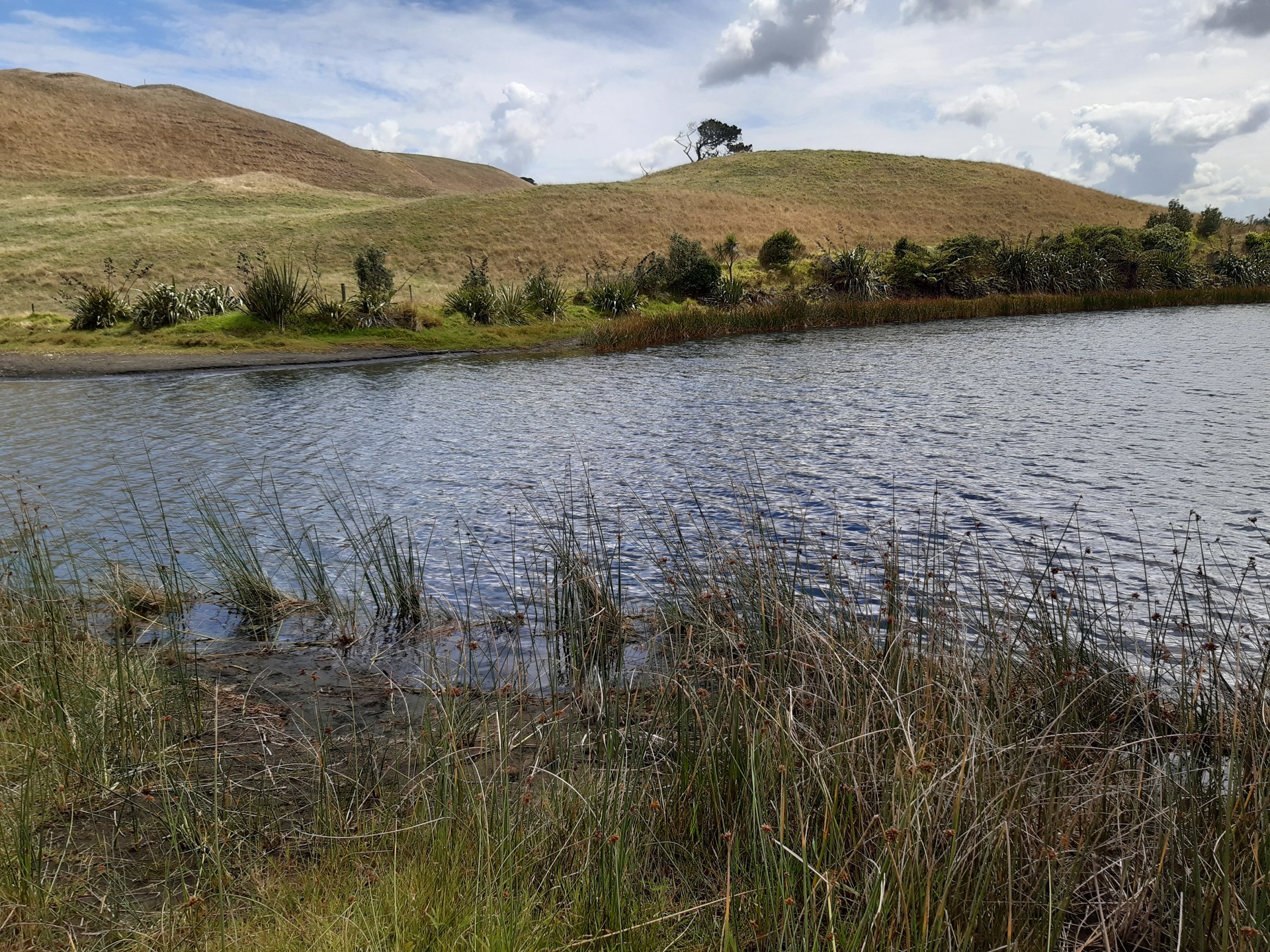 Lake Whatihua