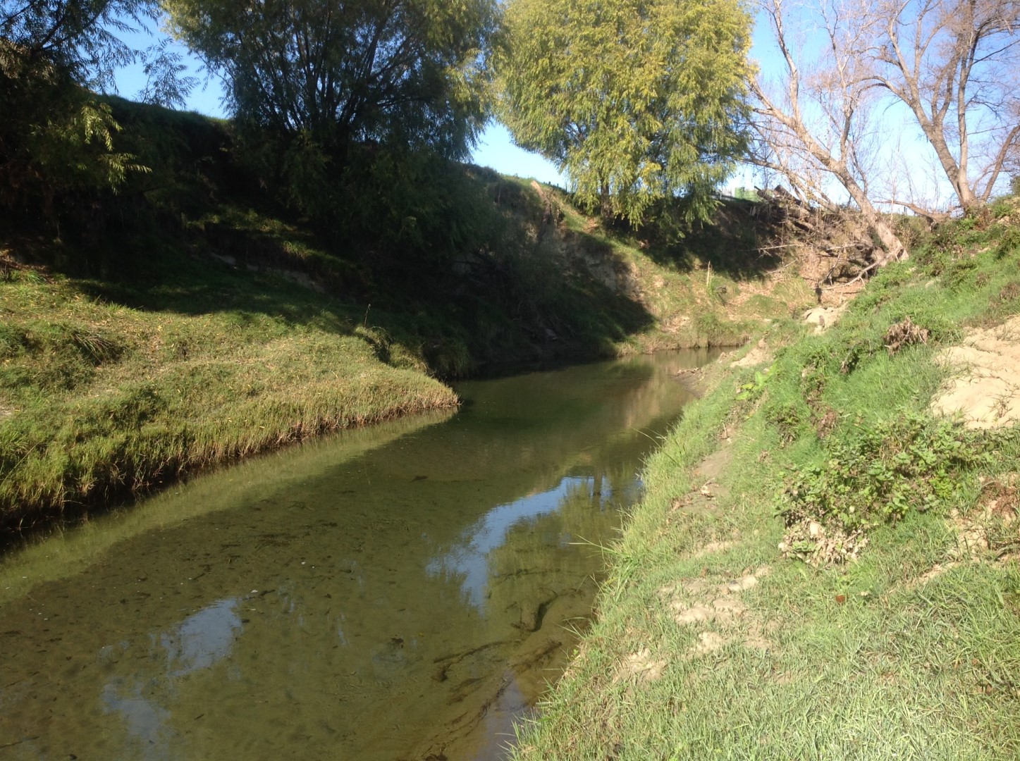Kopuawhara Stream