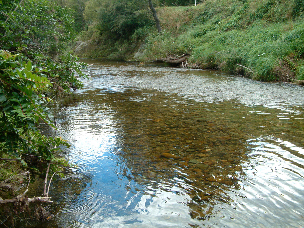Wakapuaka River