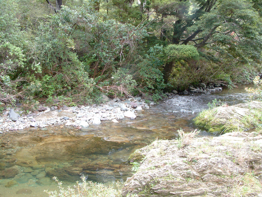 Whangamoa River