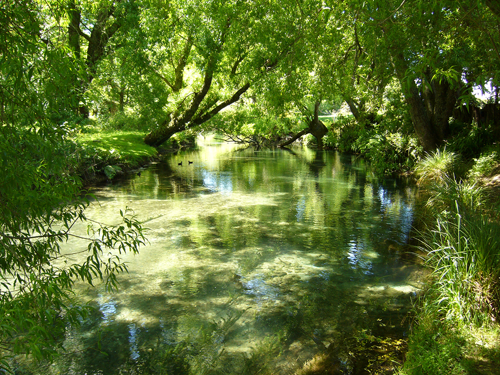 Kaituna
