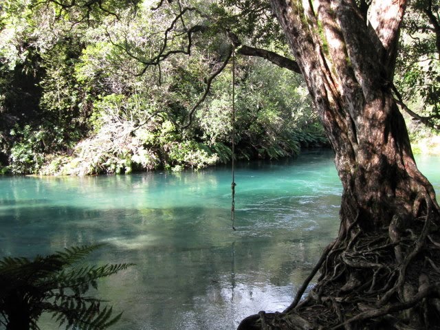 Bay of Plenty region