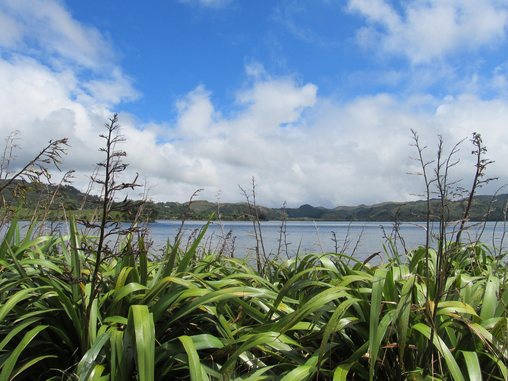Tarawera