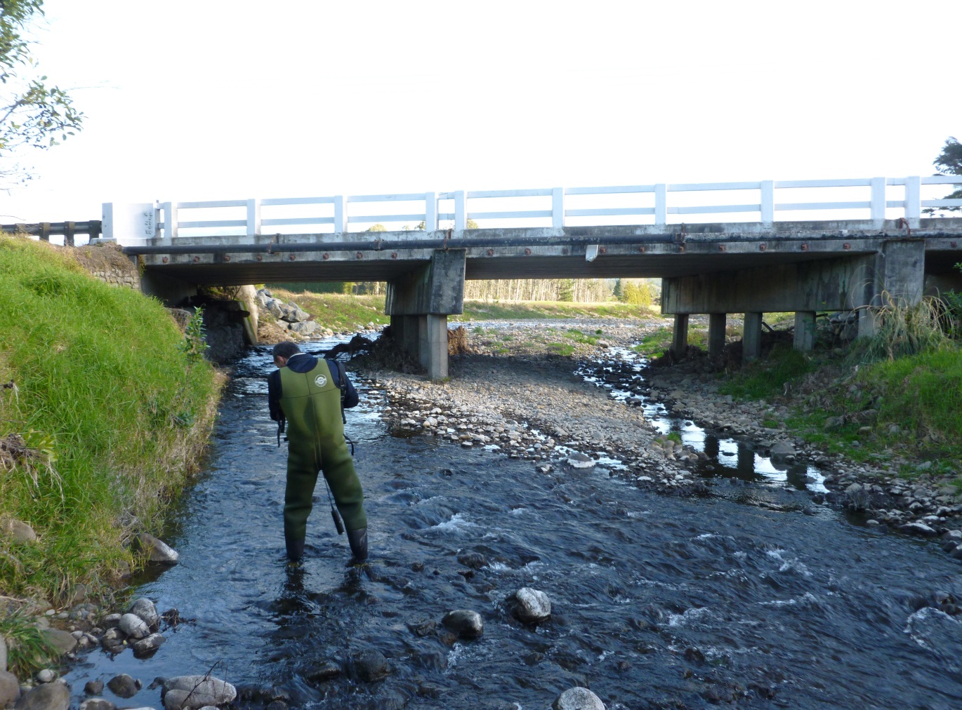 Waitekohe