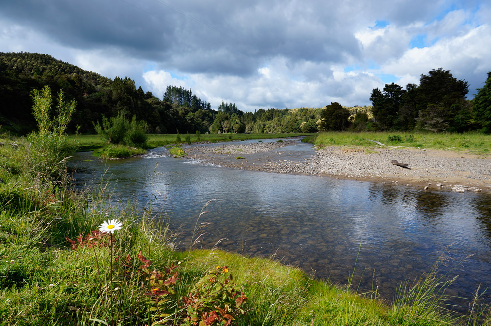 Northland region