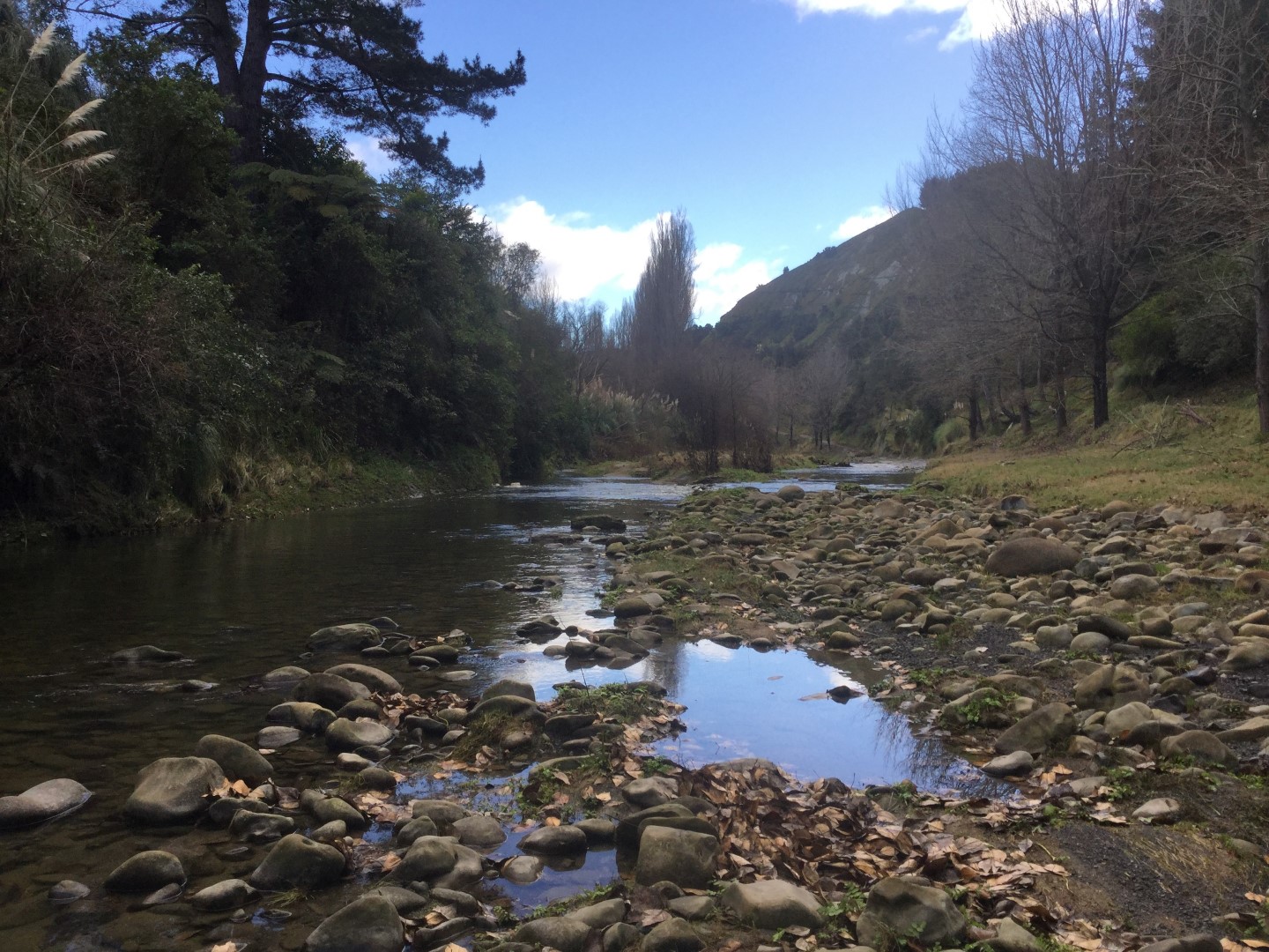 Waikari River