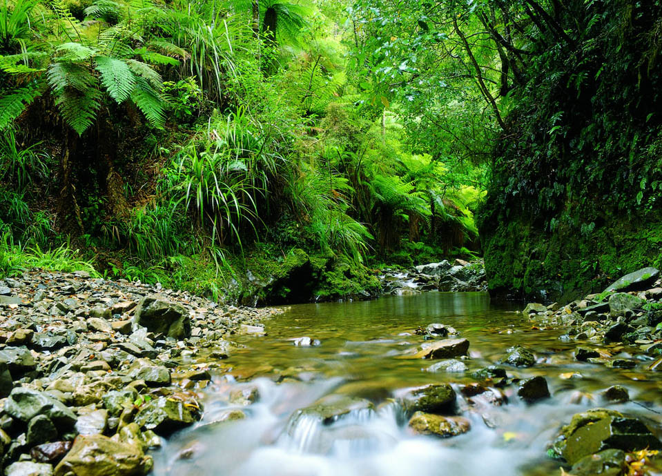 Wellington Region