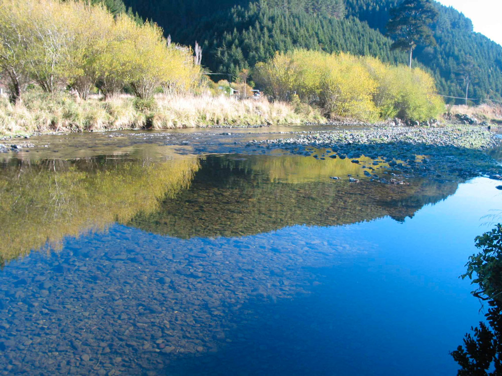 Nelson region