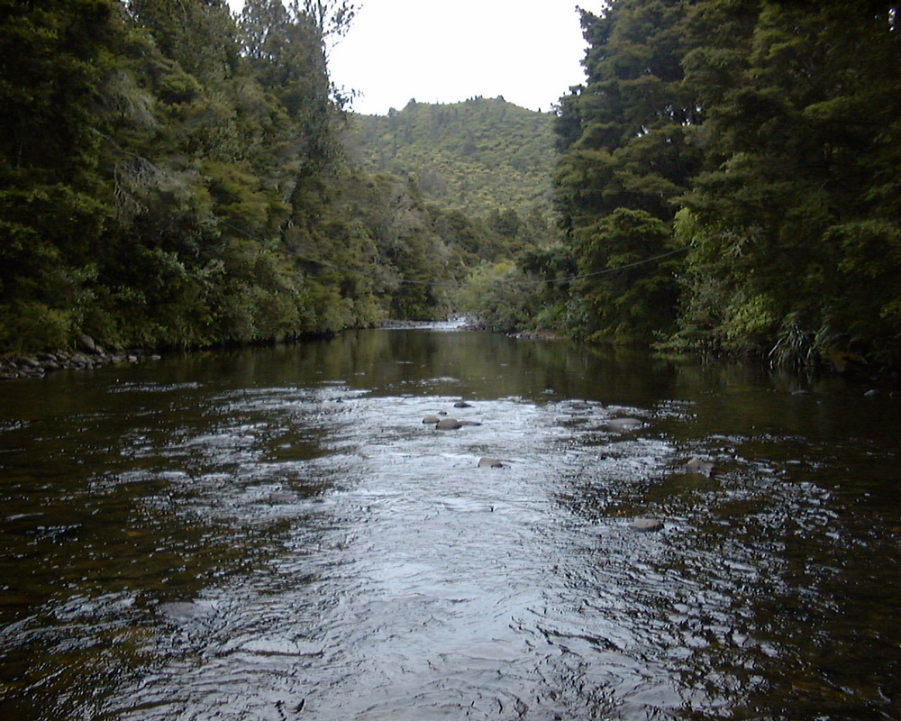 Waiwawa River