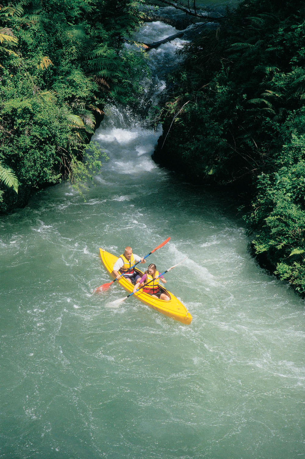Waihou River