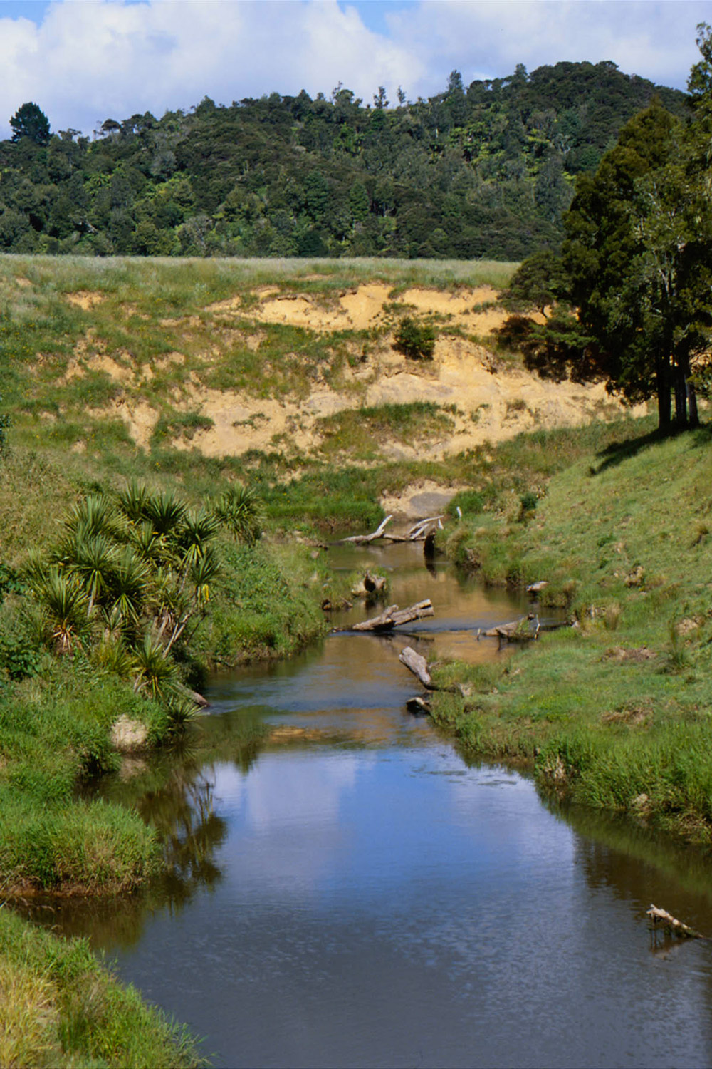Waingaro River