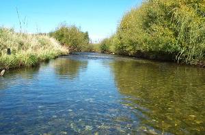 Riuwaka River