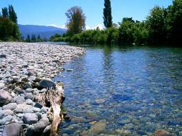Tasman region