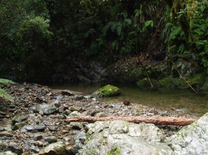 Waikanae River