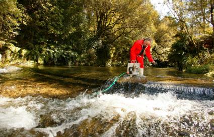 Wainuiomata River