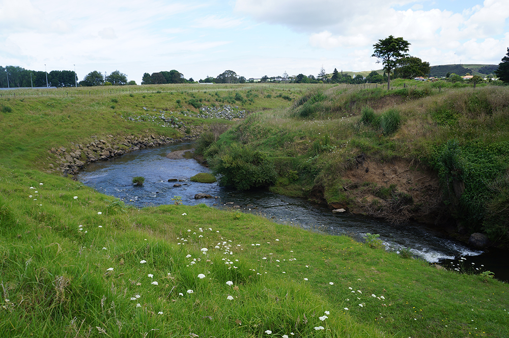 Awanui River