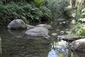 Cascade Stream (Waitakere)