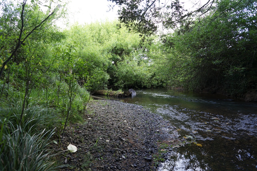 Ruakaka River