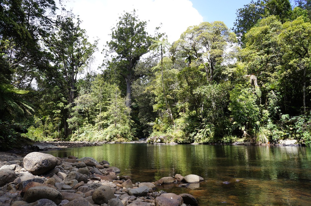 Northland region
