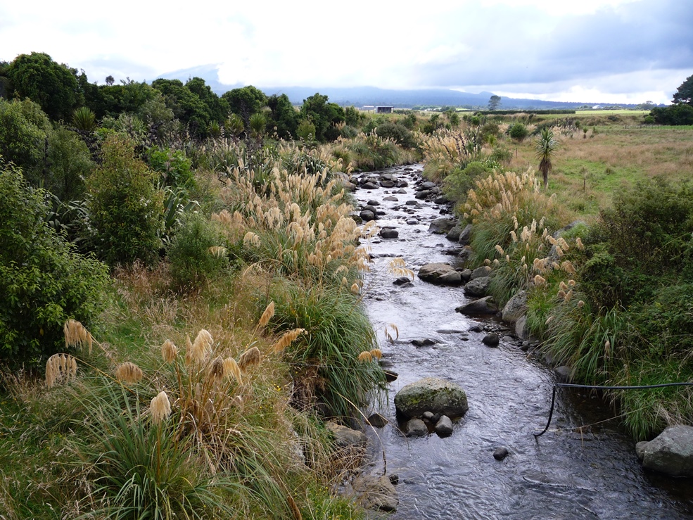 Pūnehu Stream