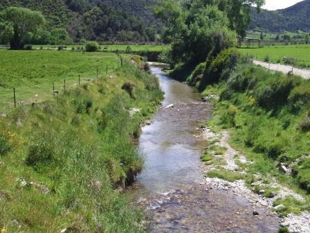 Cullen Creek