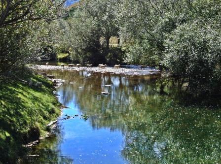 Kaituna River