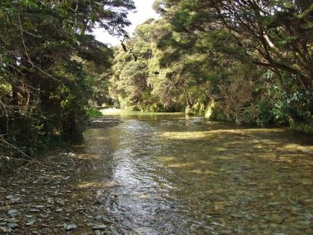 Kenepuru River