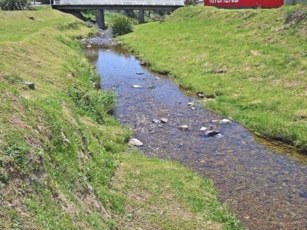Waitohi Stream