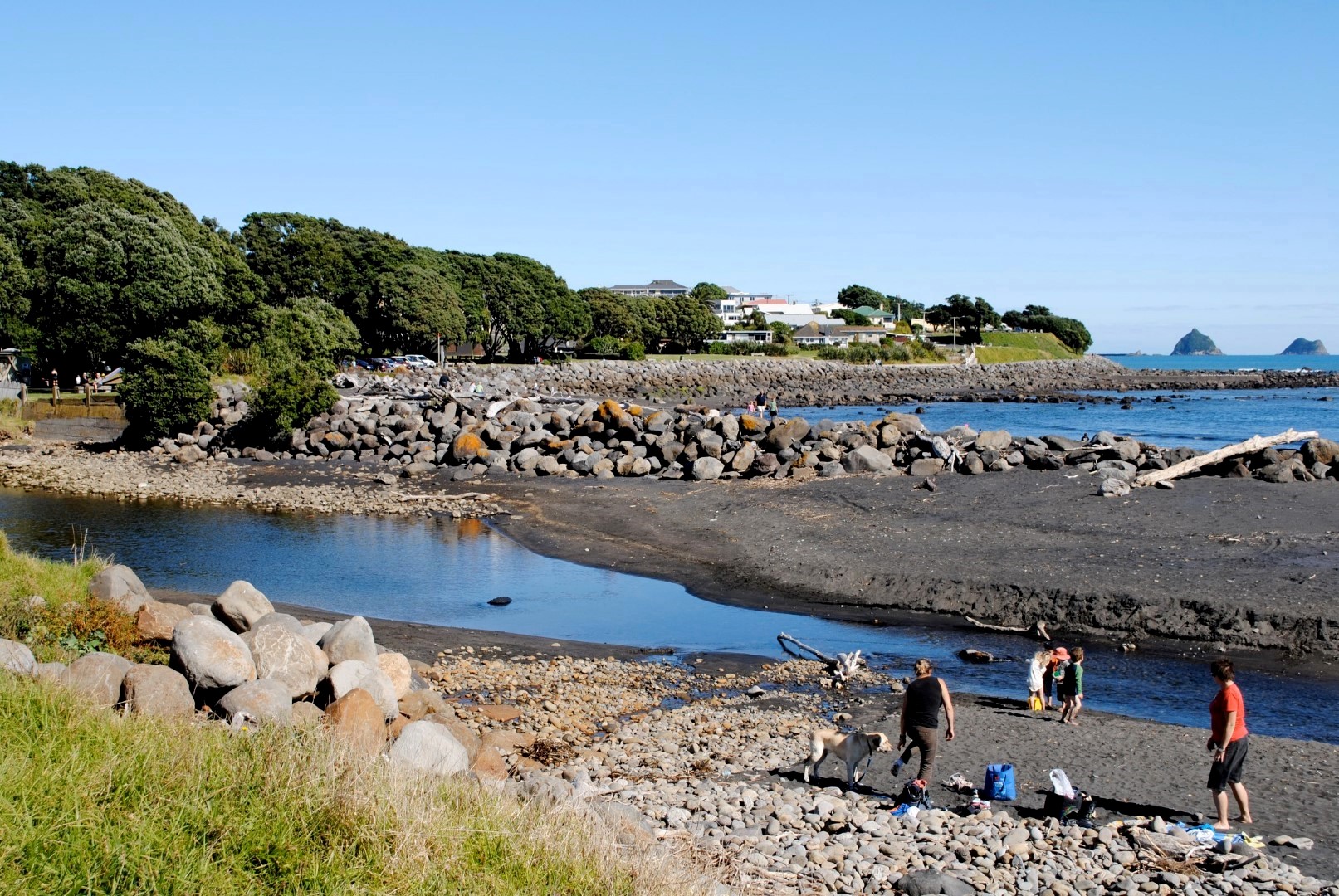 Te Henui Stream