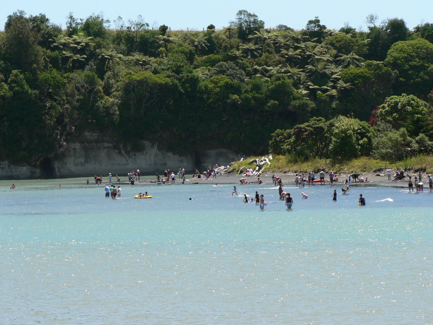Urenui River