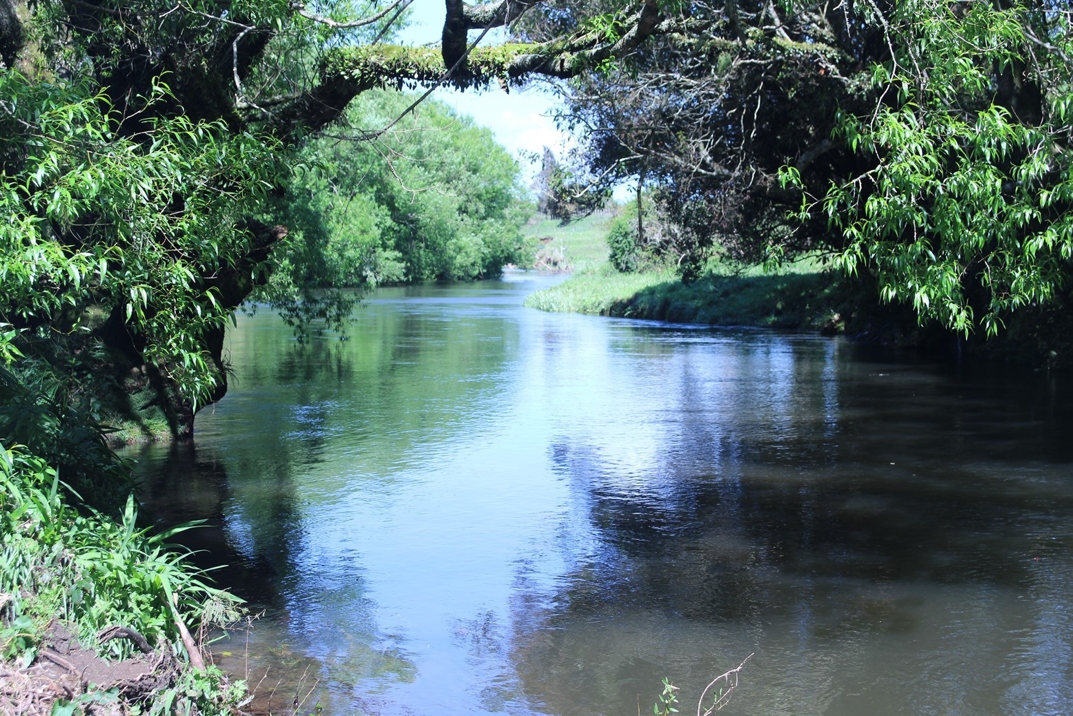 Taranaki region