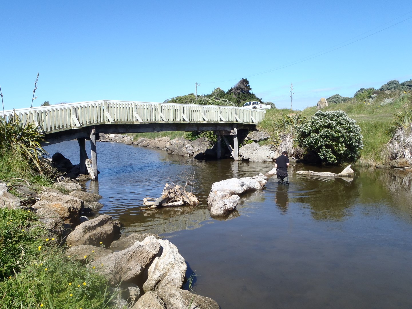 Mowhanau