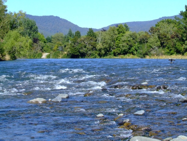 Waikato region