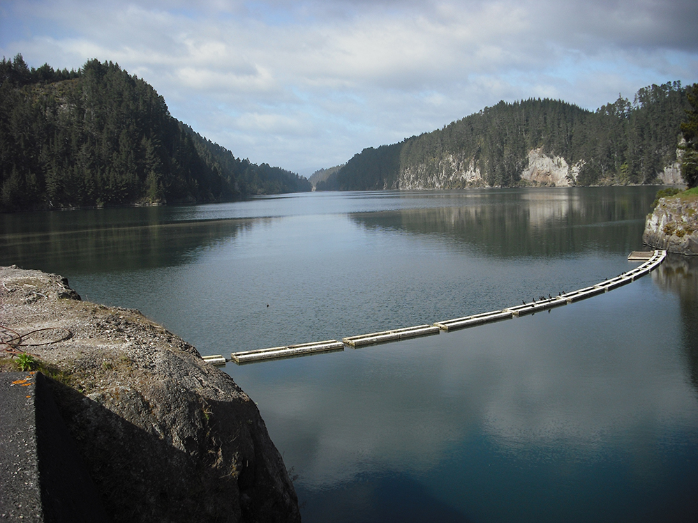 Rangitāiki