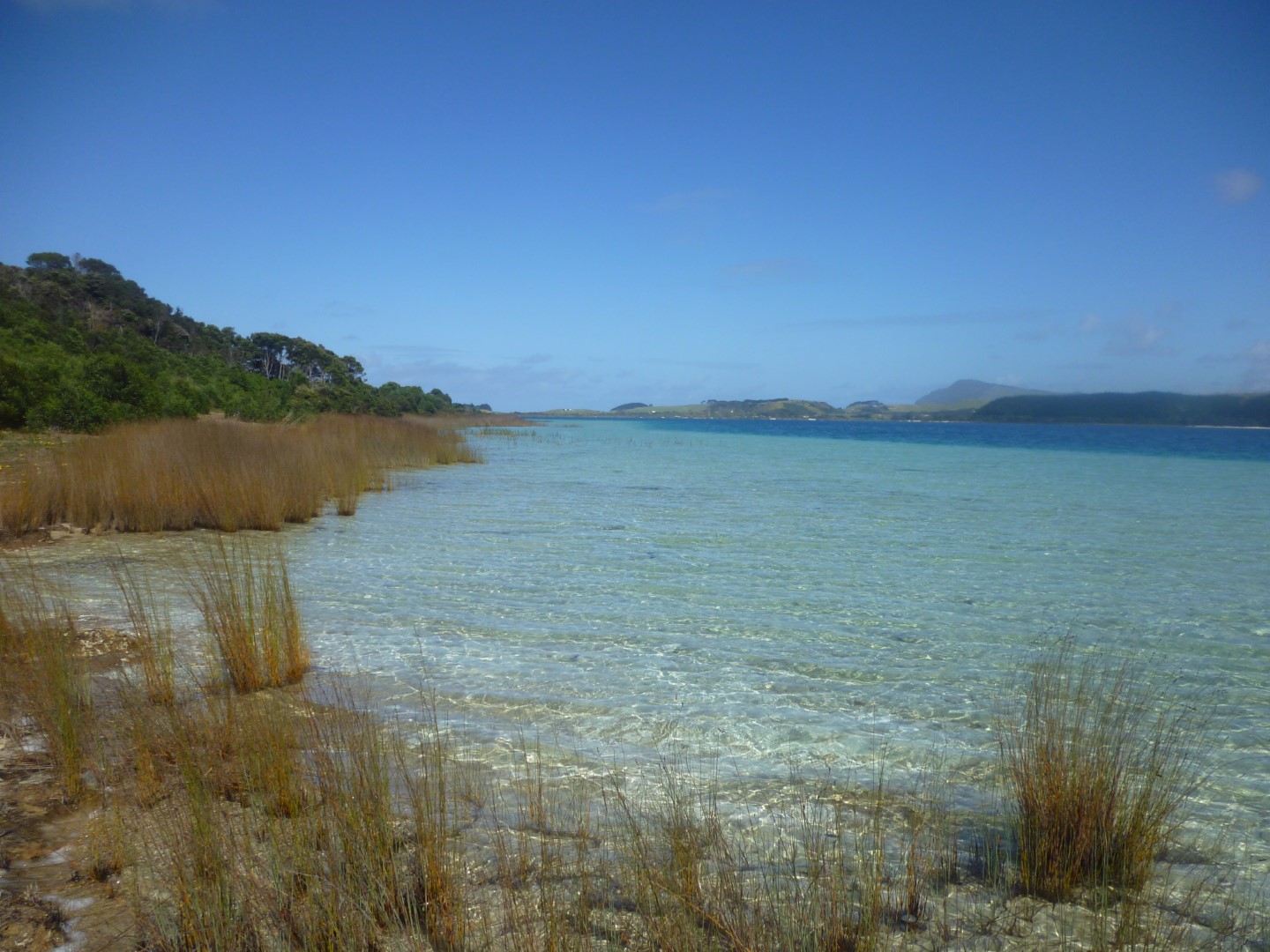 Northland region