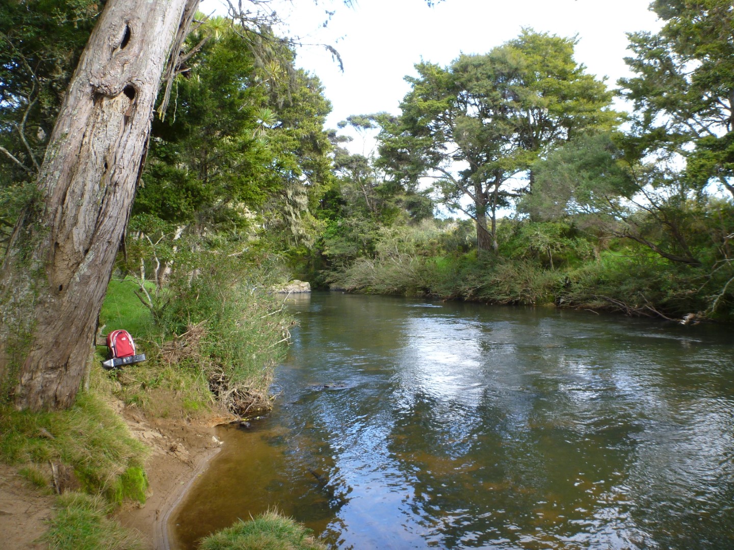 Punakitere River