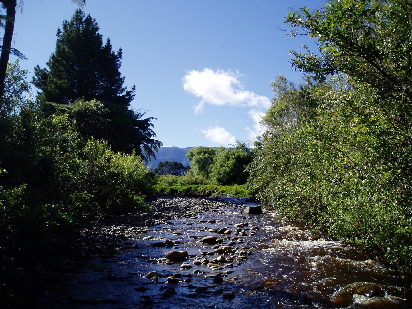 Baker Creek