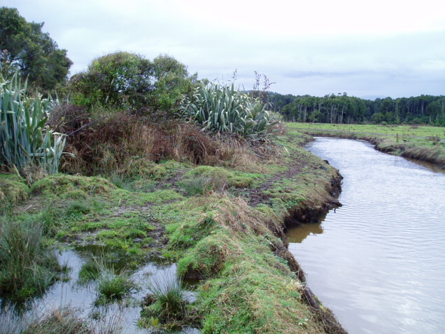 Blackwater Creek