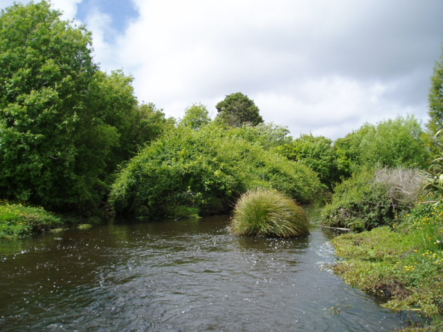 Bradshaws Creek