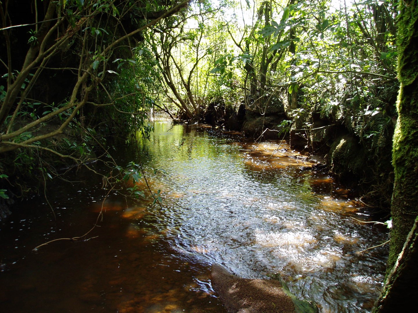 Mokihinui River