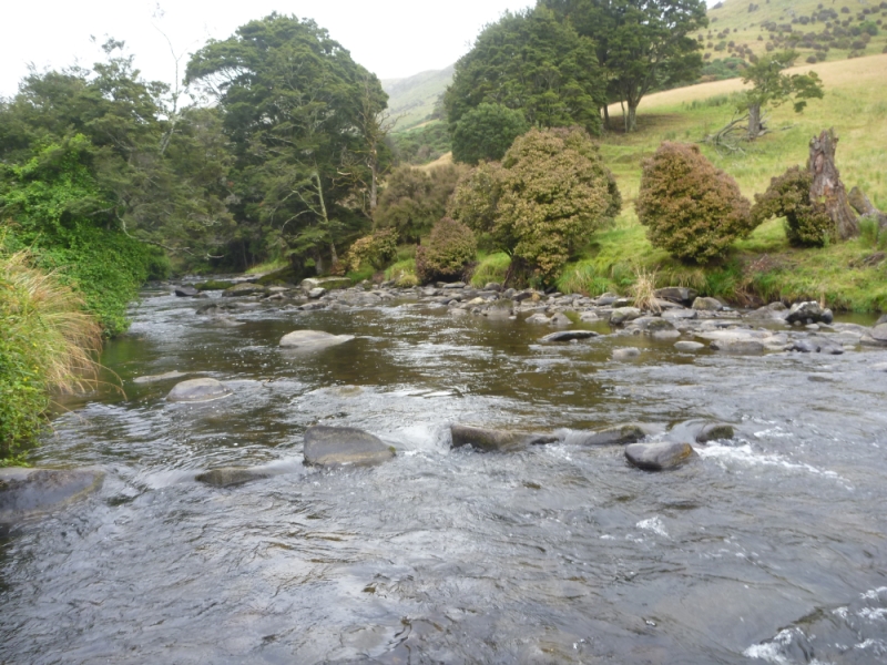 Catlins River
