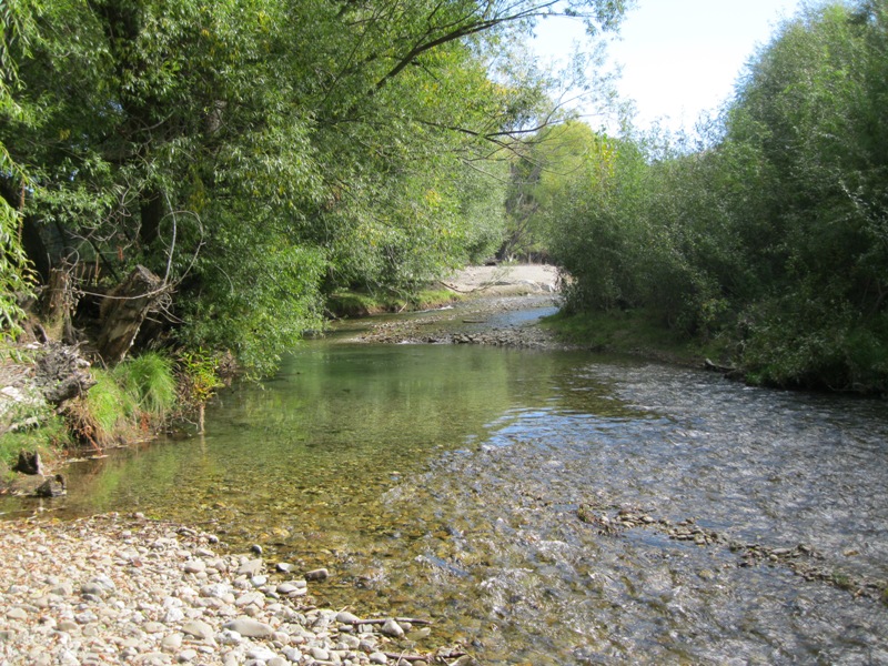 Cardrona River