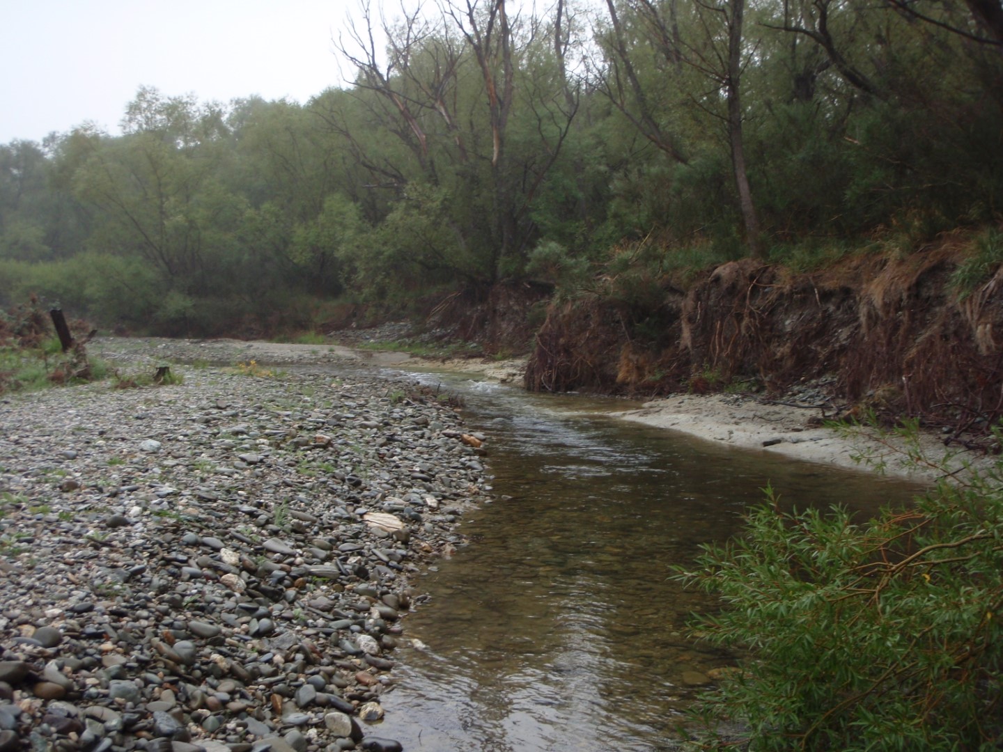 Manuherekia River