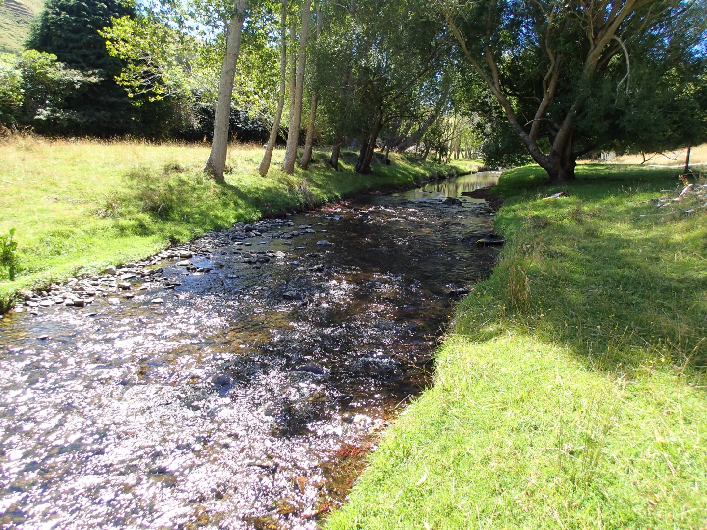 Horokiri Stream