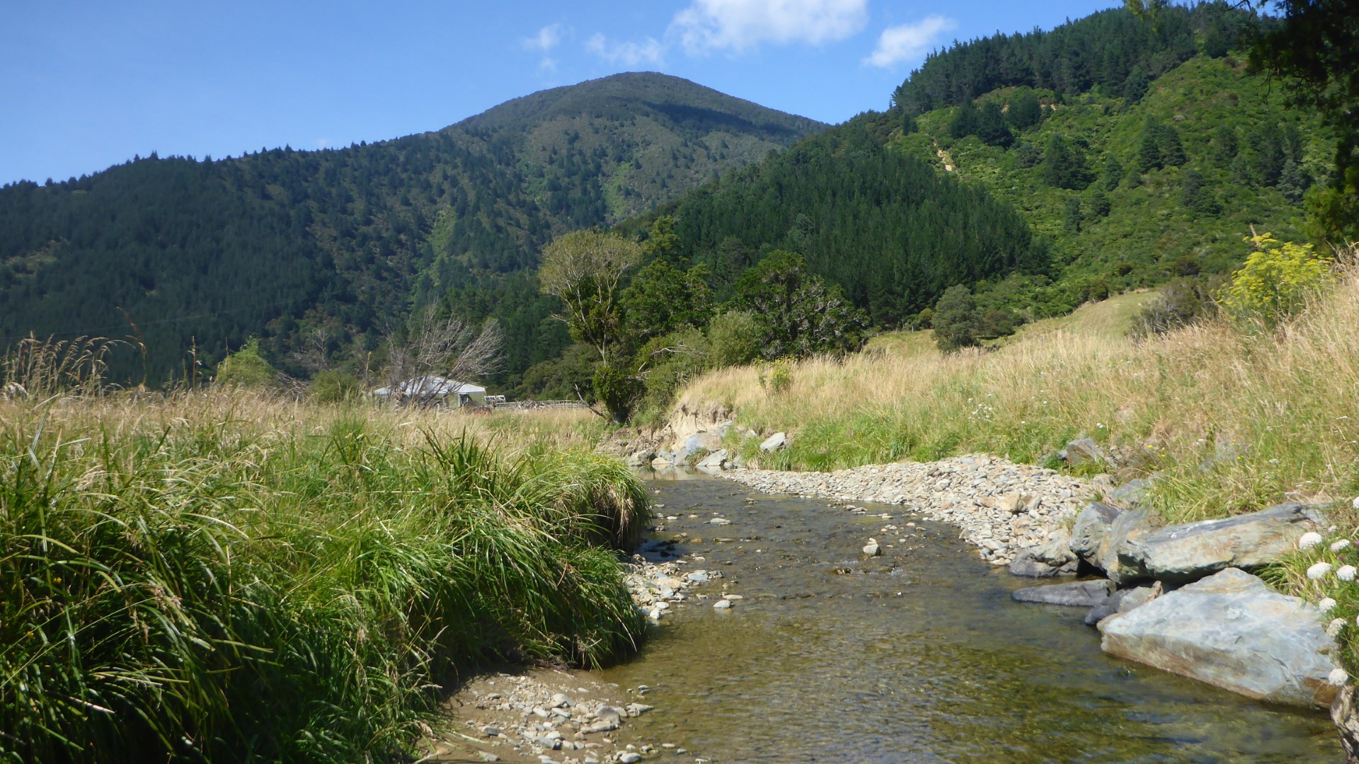Graham River
