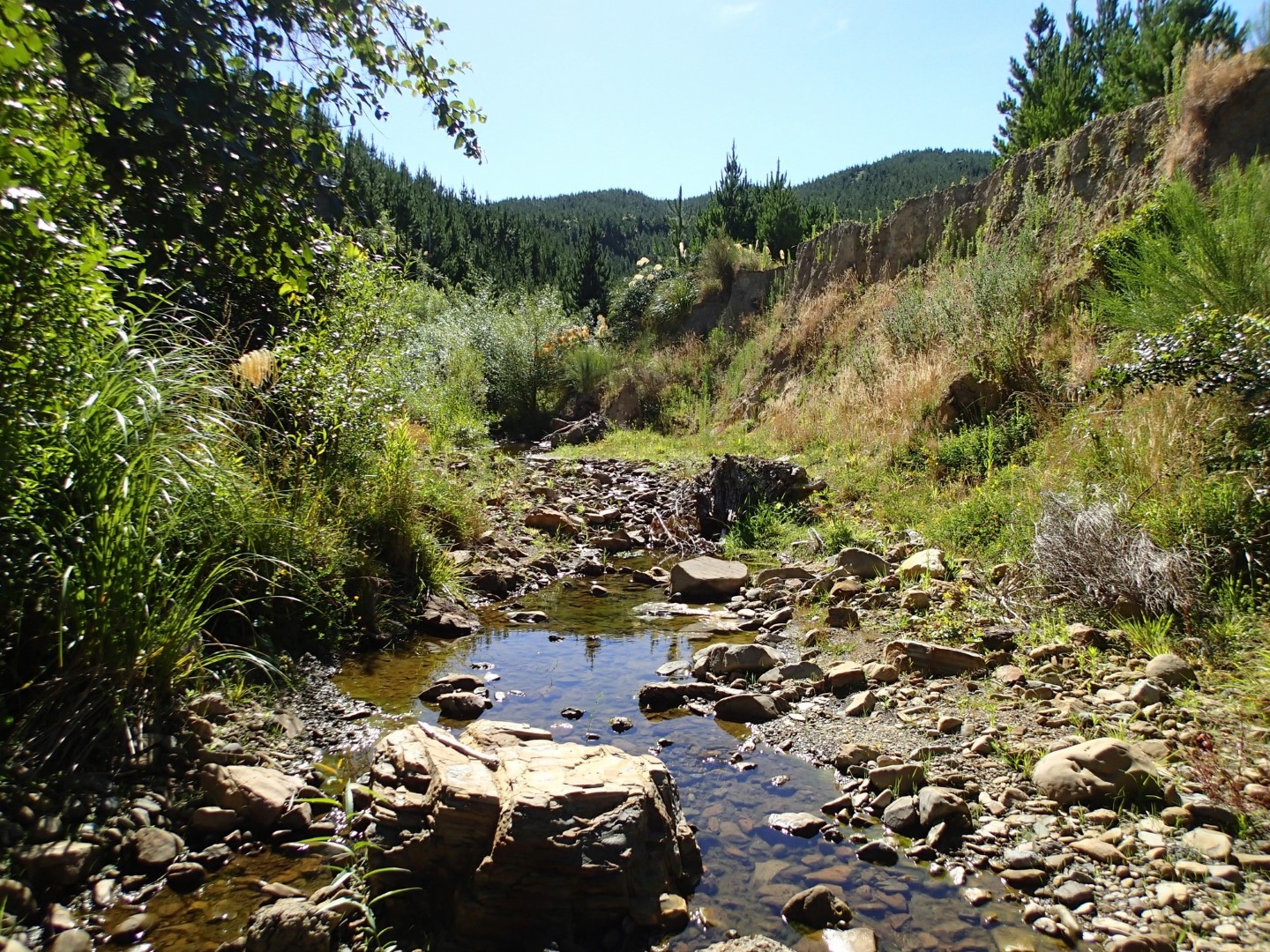Kaiwhata River