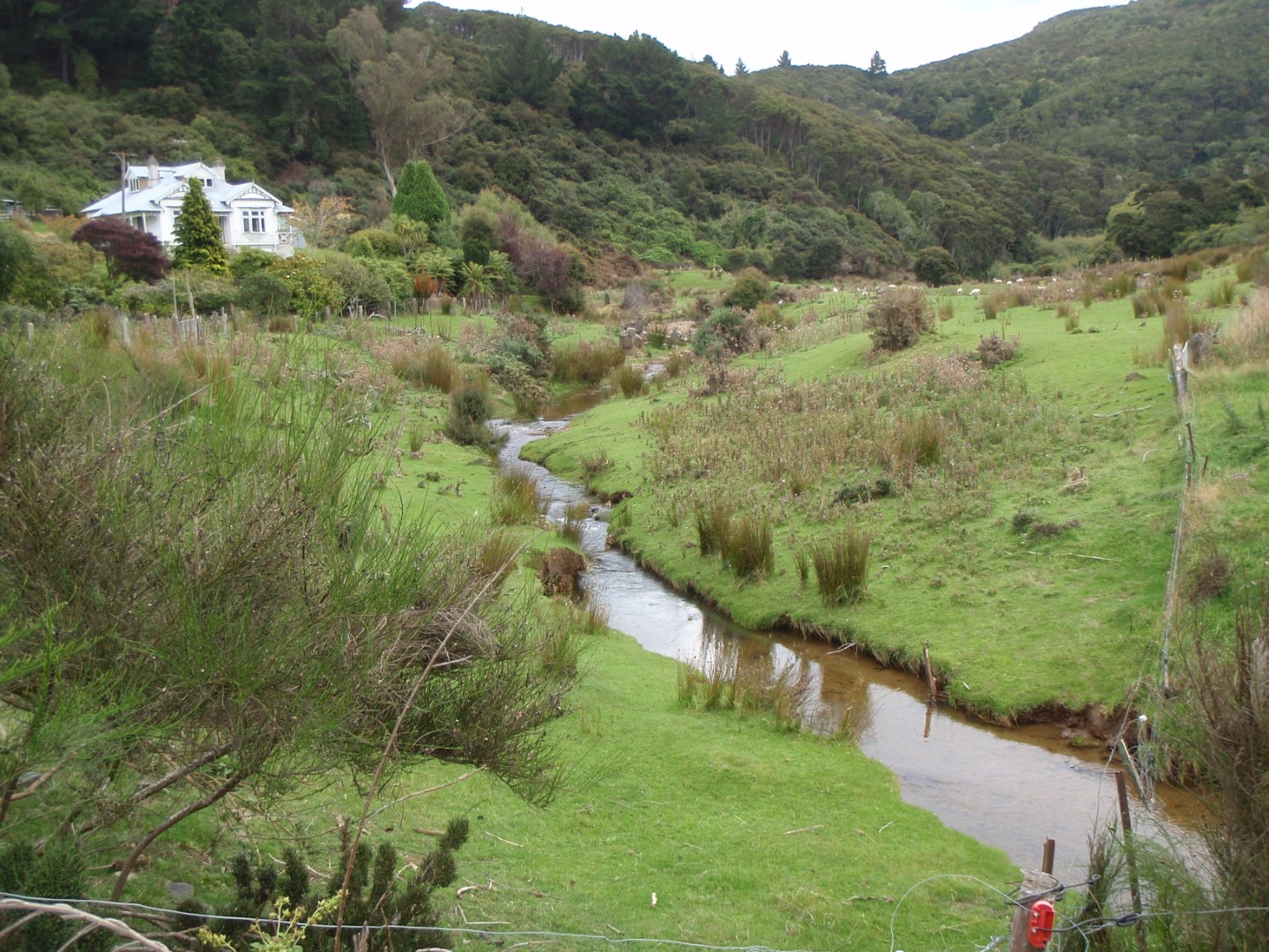 Careys Creek