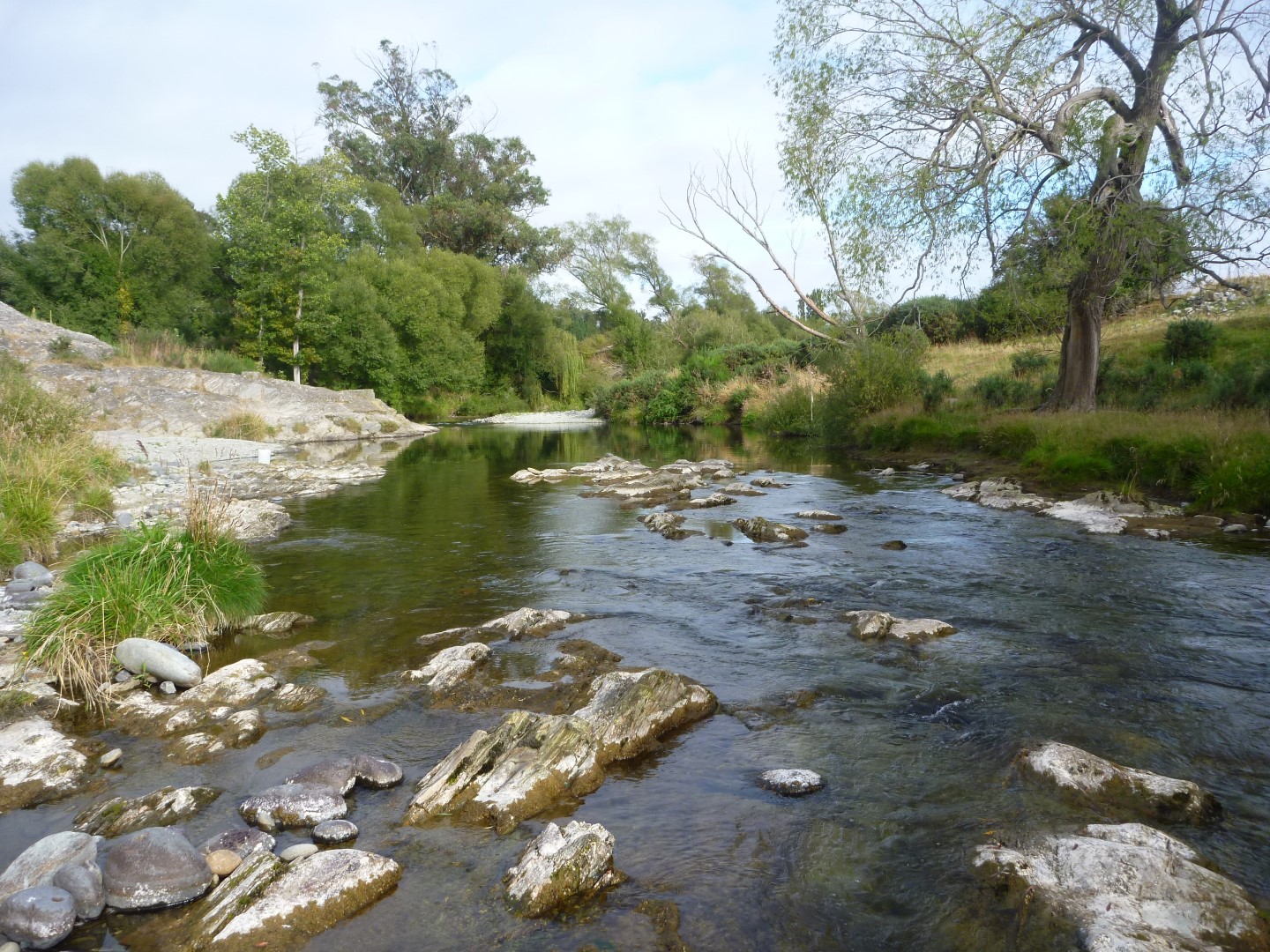 Kakanui River