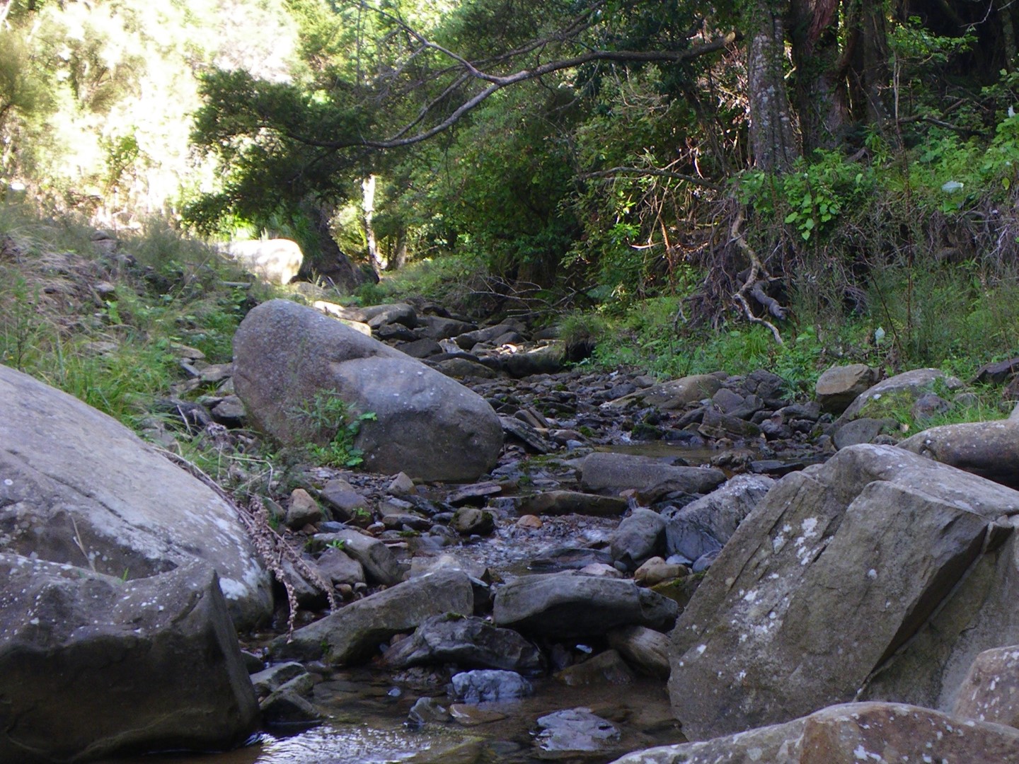 Motuwaireka Stream