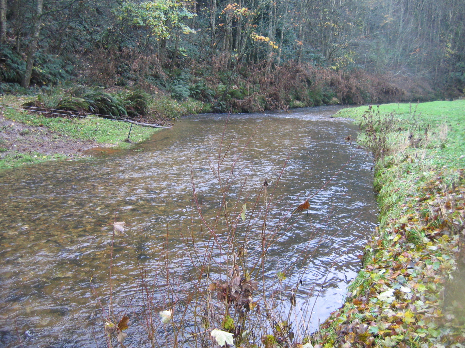 Tokomairiro River